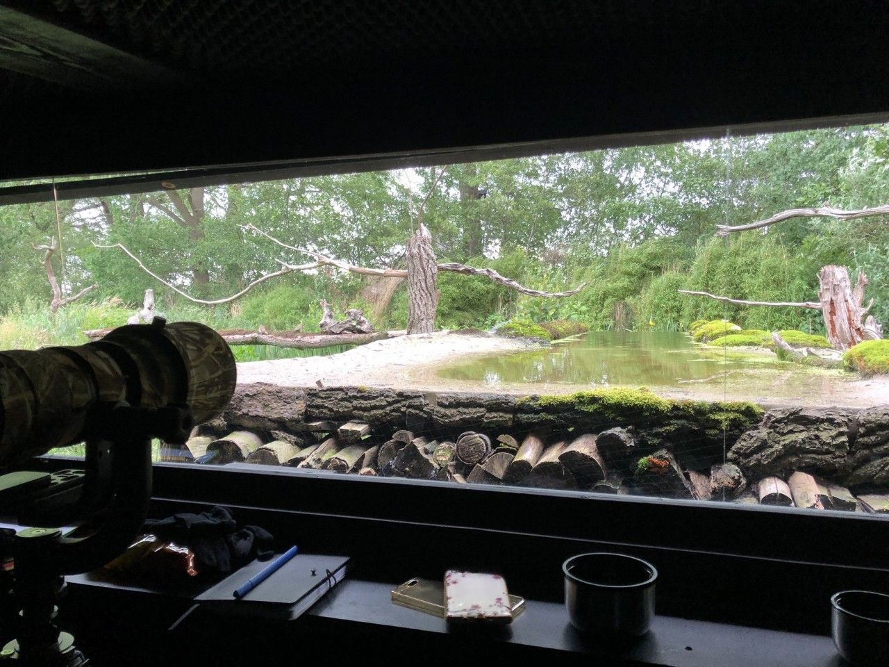 Tuinhut
